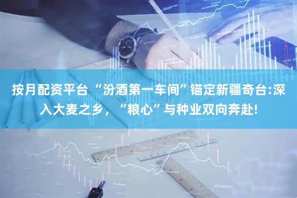 按月配资平台 “汾酒第一车间”锚定新疆奇台:深入大麦之乡，“粮心”与种业双向奔赴!