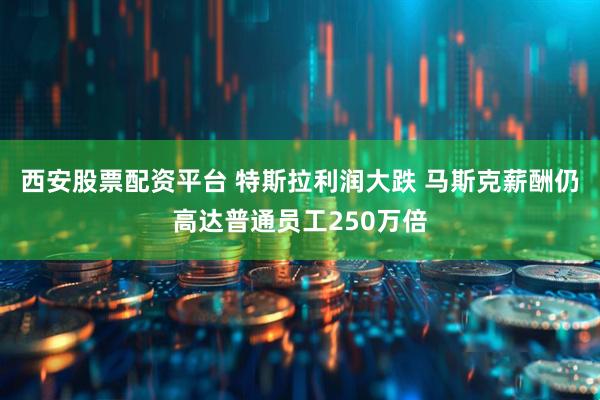 西安股票配资平台 特斯拉利润大跌 马斯克薪酬仍高达普通员工250万倍